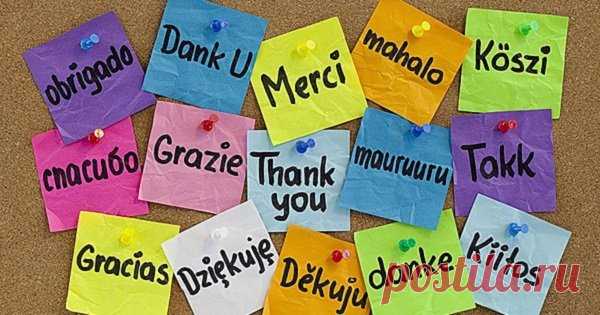 Советы по изучению языков от Като Ломб