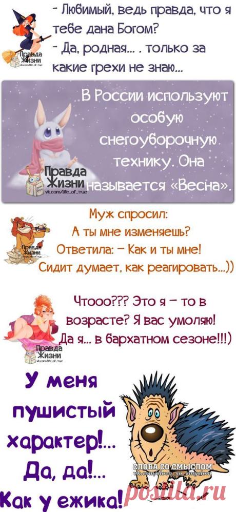 Слова, слова в картинках
Смешные афоризмы - нарочно не придумаешь))