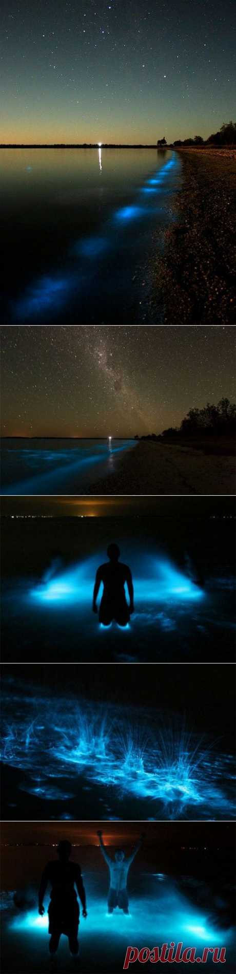 Неоновое озеро »