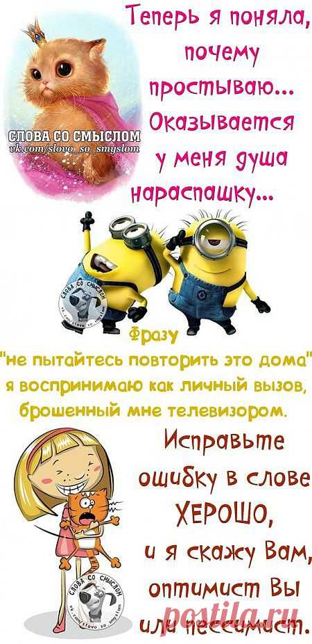 Фразы - приколы так и прут!.