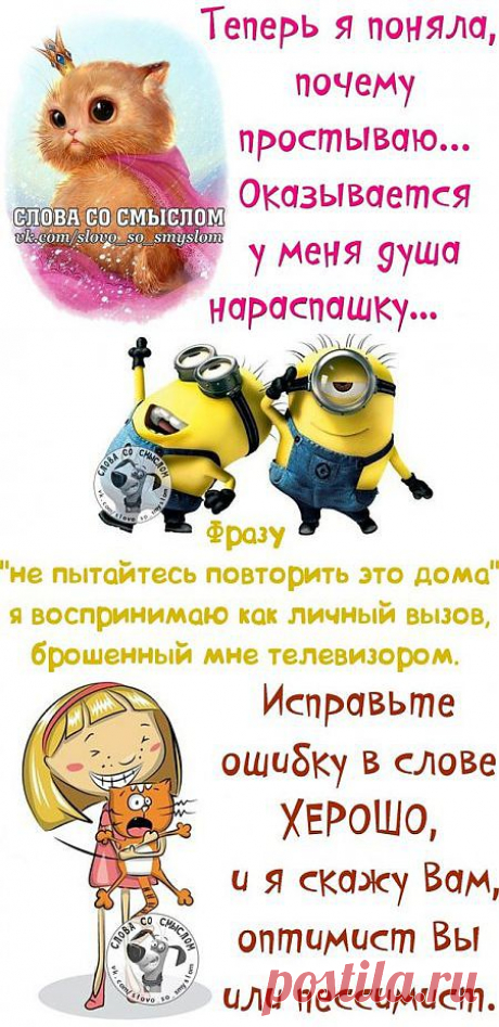 Фразы - приколы так и прут!.