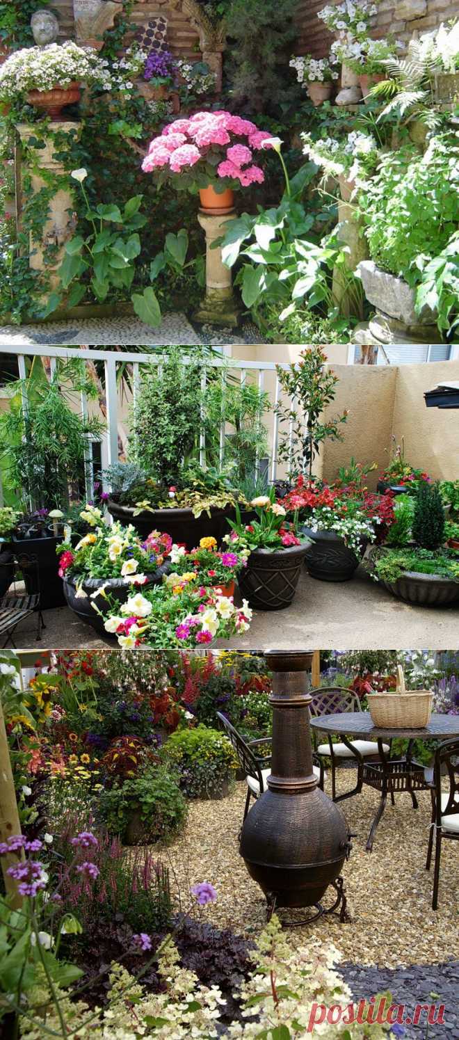 Garden patio - маленький сад.