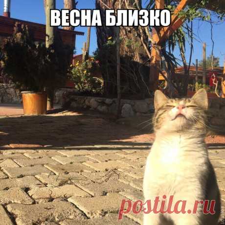 Анюта Гардеева