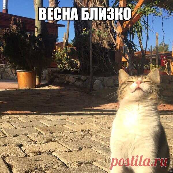 Анюта Гардеева