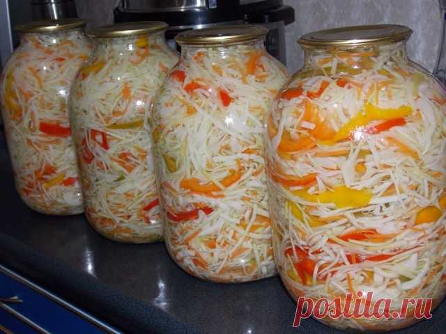 Капуста 