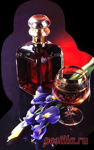 Плейкаст «ЦВЕТЫ ДЛЯ ХОРОШЕГО НАСТРОЕНИЯ !»