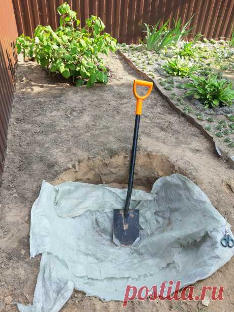 Классная фишка для сада - геотекстиль | Цветущий мир | Яндекс Дзен