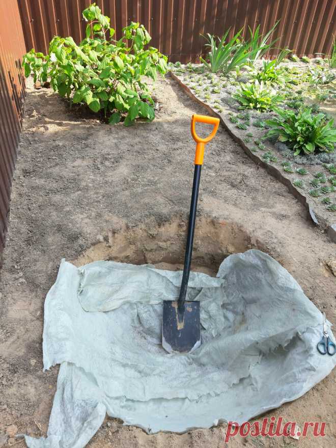 Классная фишка для сада - геотекстиль | Цветущий мир | Яндекс Дзен