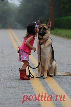 (47) Одноклассники