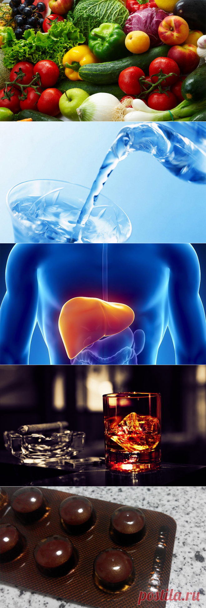 Очищение и укрепление печени — Делимся советами