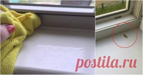 Как отбелить пожелтевшие пластиковые окна. Старые рамы засияют белизной | Тысяча и одна идея