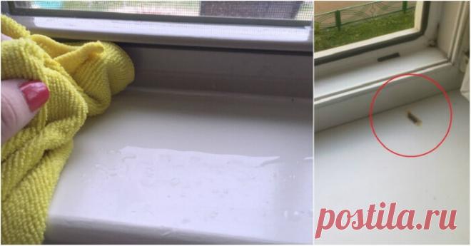 Как отбелить пожелтевшие пластиковые окна. Старые рамы засияют белизной | Тысяча и одна идея