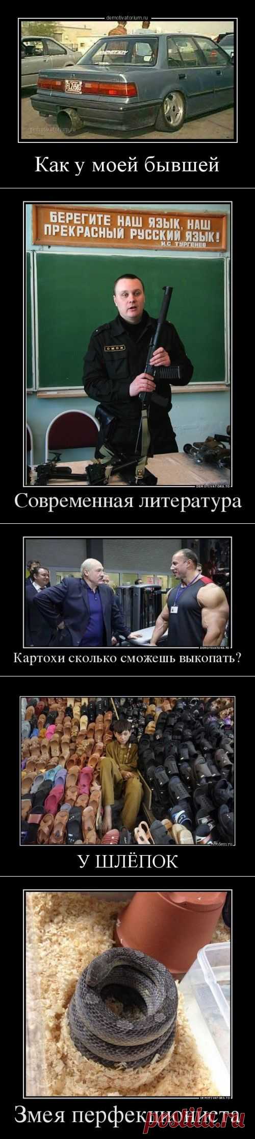 Классные демотиваторы-приколы (12 шт)
