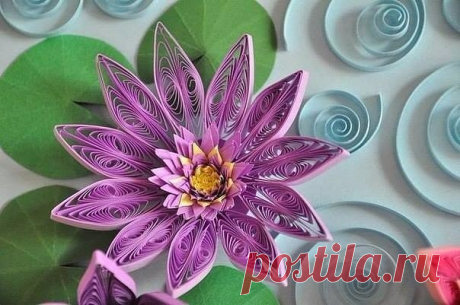 (38) Одноклассники