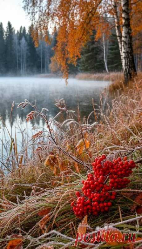 Красоте природы нет границ...