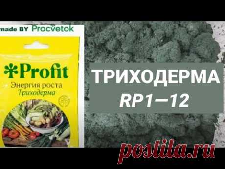 (7) Выращиваем Триходерму на спитом кофе из препарата &quot;Профит&quot; от &quot;Процветок&quot; по рецепту Ивана Русских - YouTube