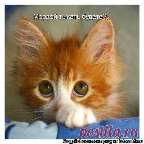 МУП Североморские Теплосети