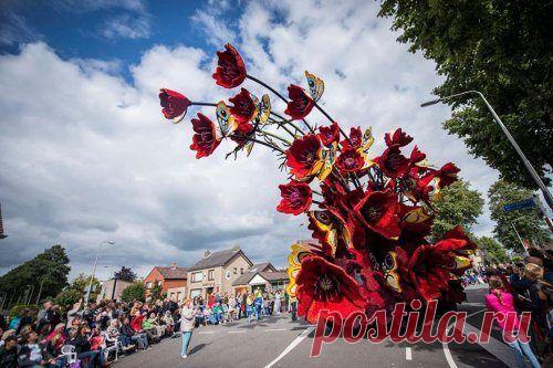 Парад цветов Bloemencorso Zundert 2015 / Я - суперпупер