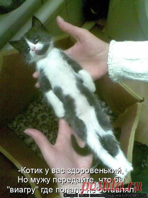 Ни дня без улыбки (народные и житейские премудрости) | Приколисты