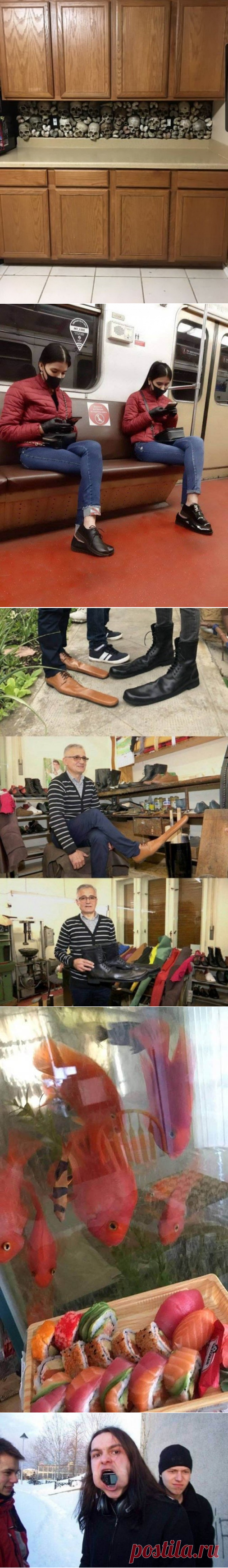 Подборка прикольных картинок и фотографий-252