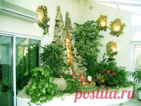 Маленькие секреты комнатного цветоводства