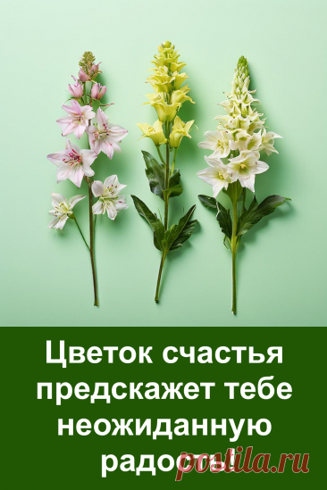 Какой цветок ты выберешь — такой и будет твоей подсказкой от судьбы! В этой статье — простой, но удивительно точный тест. Три красивых цветка скрывают три разные радости, которые уже на подходе. Тебя ждёт не просто приятное событие, а настоящее счастье, которое подарит светлые перемены в жизни. Выбери один — и узнай, какая неожиданная радость идёт к тебе навстречу!