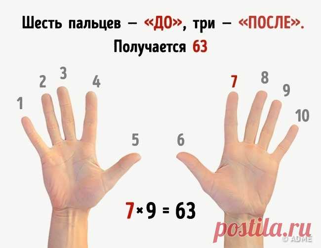 Этим хитростям нас научили еще в школе
