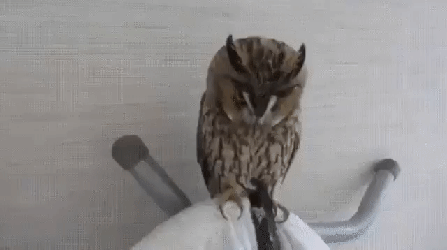 — Кто толстая? Я толстая? Да я вот какая худенькая!