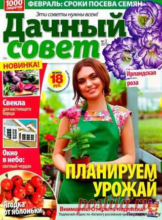 Дачный совет 3 2017 | ПЕРЕДЕЛКИ.рУ