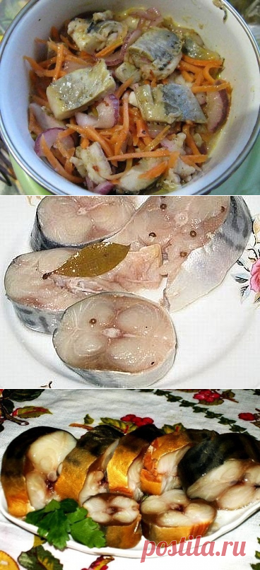 Одноклассники/маринованная, соленая скумбрия