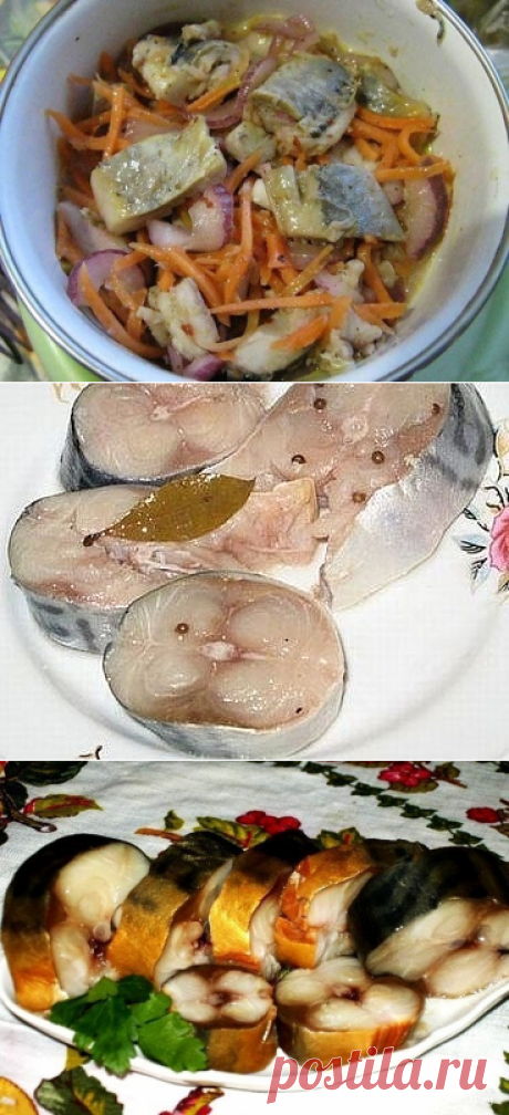Одноклассники/маринованная, соленая скумбрия