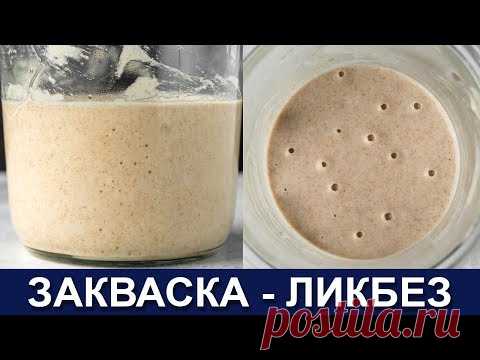 🥖🥨🍞 ЗАКВАСКА УРОК - Ликбез по закваске - Как вывести и содержать закваску - Важное о заквасках