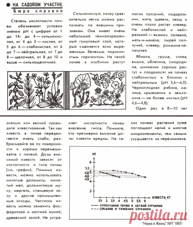 Кислотность почвы