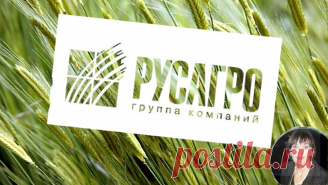Цены на продукты растут, а я рада. Получаю выплаты в долларах от "Русагро". | БогатаяЯ | Яндекс Дзен