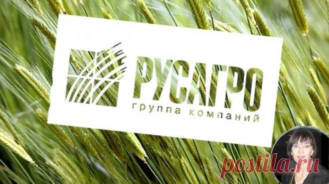 Цены на продукты растут, а я рада. Получаю выплаты в долларах от 