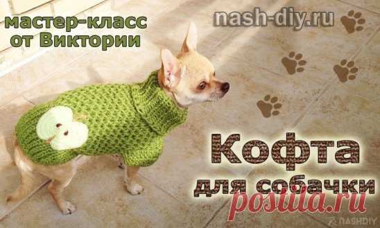 ВЯЗАНАЯ КОФТА ДЛЯ СОБАЧКИ СПИЦАМИ,
описание: http://nash-diy.ru/vjazanie-dlja-doma/igrushki/595-vjazanaja-kofta-dlja-sobachki-spicami.html