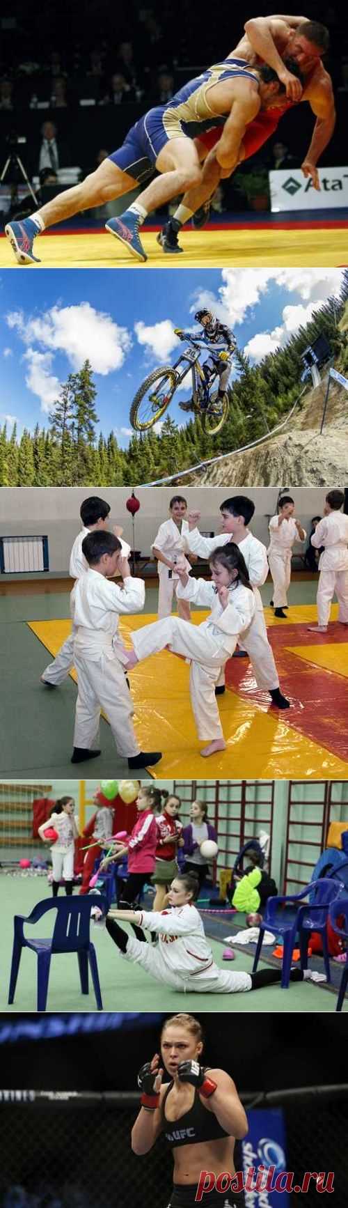 Спорт Чанбара, Виндсерфинг, Зимнее плавание, Маунтинбайк. (1/1) - Спортивный форум. - Спортивный сайт