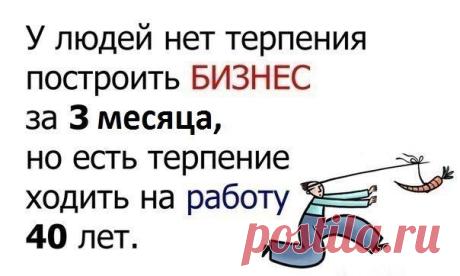 Реальный доход!!!
