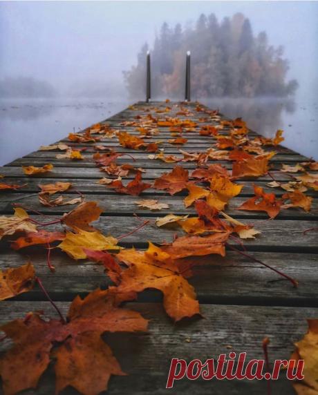 Pangeen Autumn runway by Aino Paavola