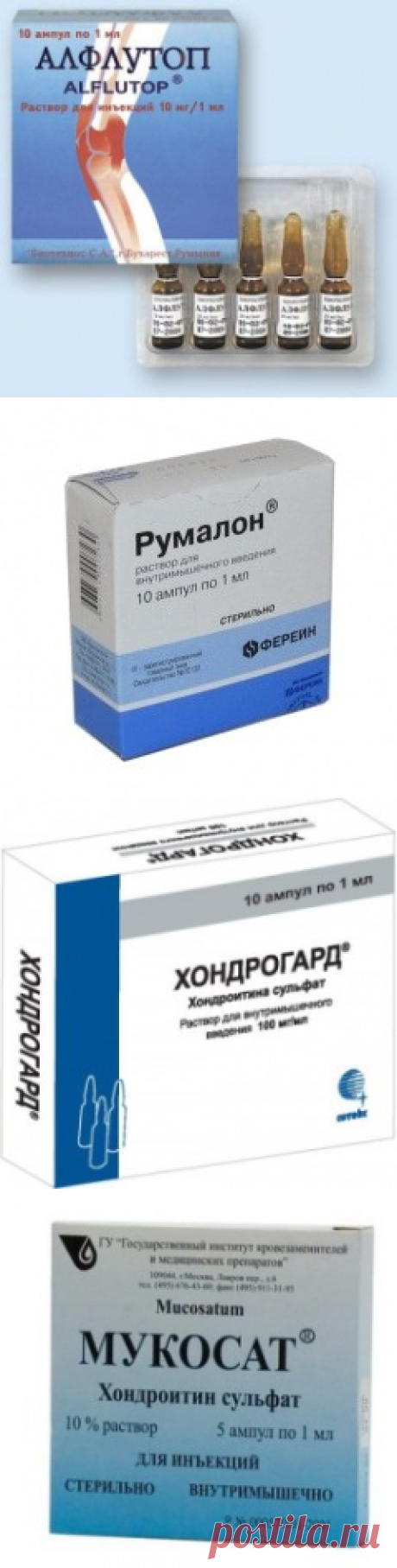 Аналоги хондропротектора Алфлутоп: какие лекарства лучше использовать при лечении болезней суставов