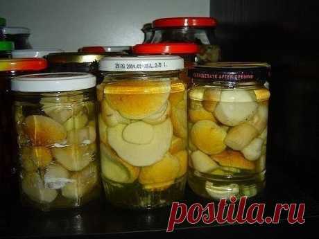 Маринуем белые грибы