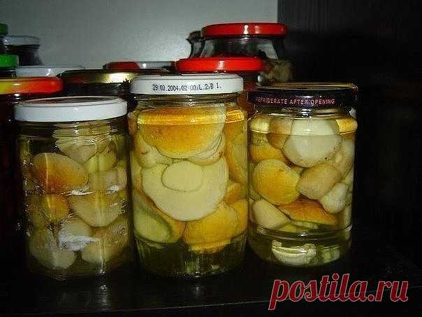 Маринуем белые грибы