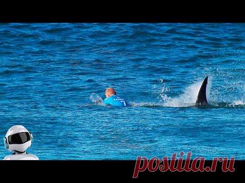 Если Бы Это Не СНЯЛИ НА КАМЕРУ, Никто Бы Не Поверил