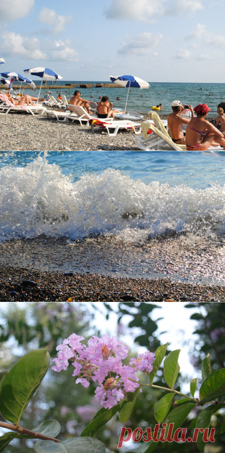 Лето. Море. Солнце. Сочи  |  Россия