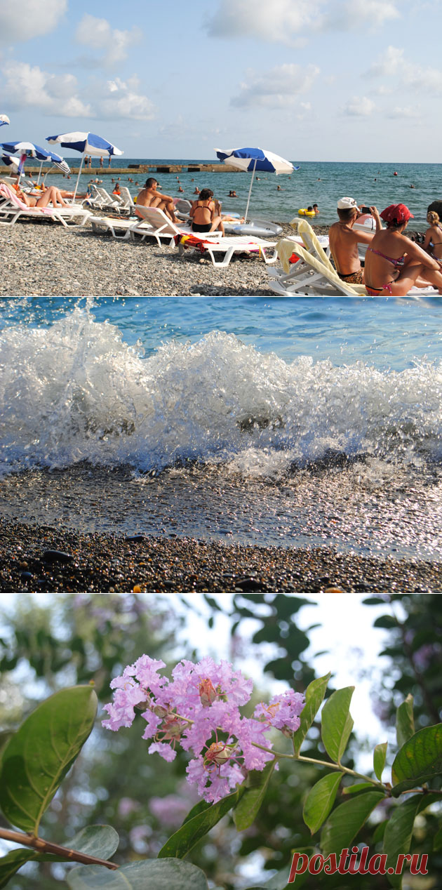 Лето. Море. Солнце. Сочи  |  Россия