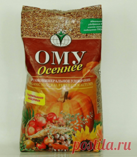 Уход за вишней после сбора урожая Правила ухода за вишней после сбора урожая. Расчистка приствольного круга, поливы и подкормки. Обработка от болезней и вредителей. О камедетечении. Обрезка.