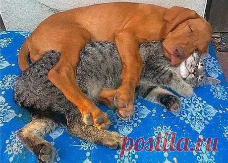 Даже если вы чертовски разные - это не повод не любить друг друга...