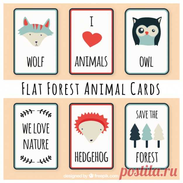 Пакет лесных животных красивые открытки Более миллиона свободных векторов, PSD, фотографии и бесплатные иконки. Эксклюзивные халявы и все графические ресурсы, которые необходимые для ваших проектов