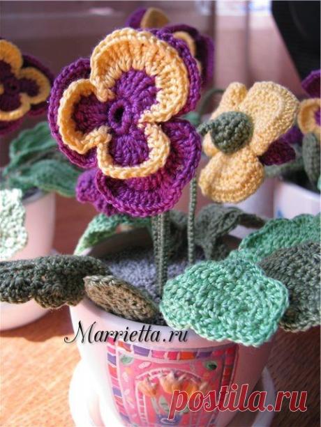 Цветы крючком. Анютины глазки в горшочке