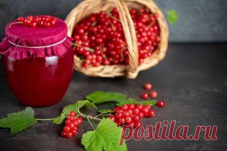 Джем из красной смородины без косточек — Сад Заготовка